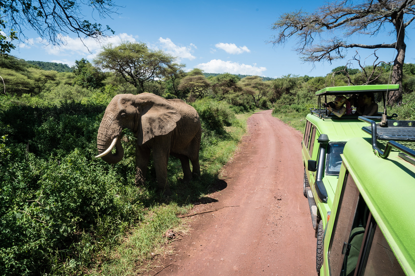 Nasaha serengeti adventures (12)