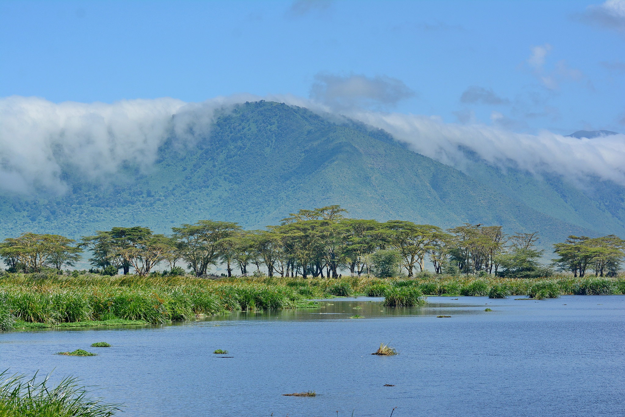 ngorongoro nasaha (12)